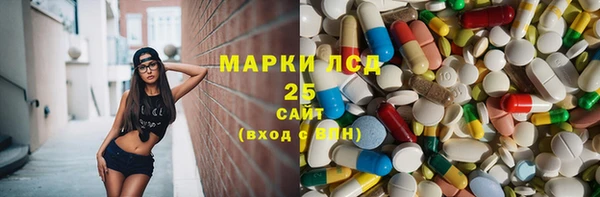 PSILOCYBIN Гвардейск