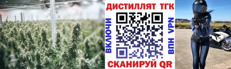 ТГК гашишное масло  Руза 