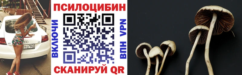 blacksprut сайт  Руза  Галлюциногенные грибы мухоморы 
